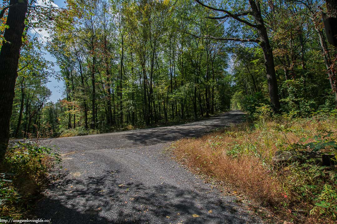 dirt road to parking lot